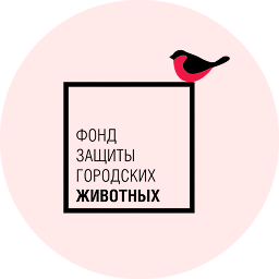 Логотип фонда Фонд защиты городских животных